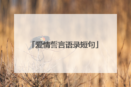 爱情誓言语录短句
