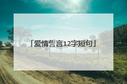 爱情誓言12字短句