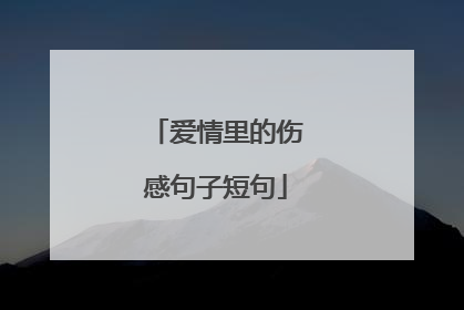 爱情里的伤感句子短句
