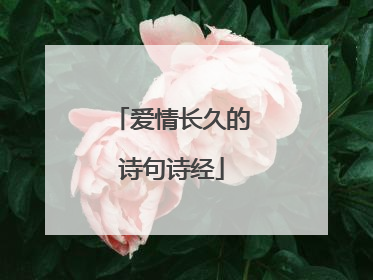 爱情长久的诗句诗经