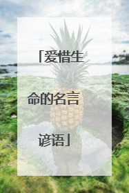 爱惜生命的名言谚语