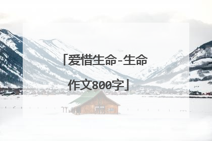 爱惜生命-生命作文800字