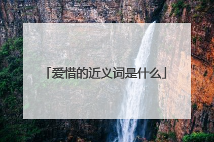 爱惜的近义词是什么