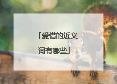 爱惜的近义词有哪些