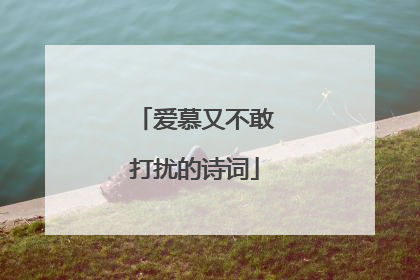 爱慕又不敢打扰的诗词