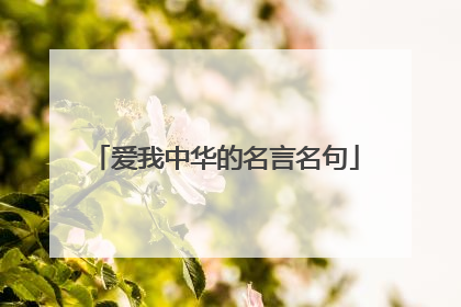 爱我中华的名言名句