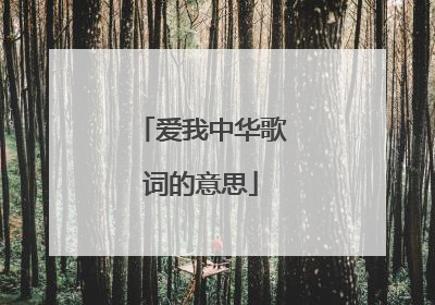 爱我中华歌词的意思