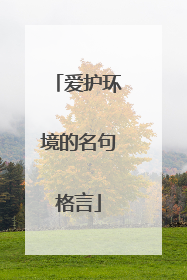 爱护环境的名句格言