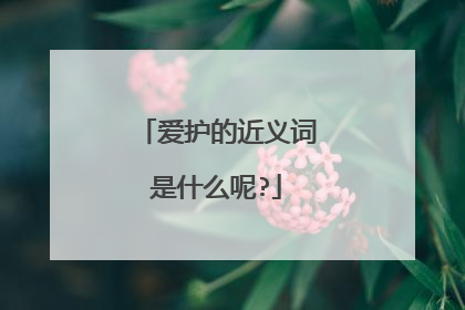 爱护的近义词是什么呢?