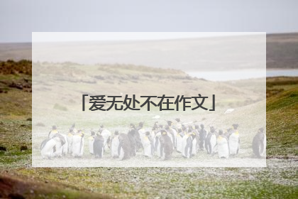 爱无处不在作文