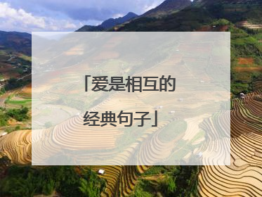 爱是相互的经典句子