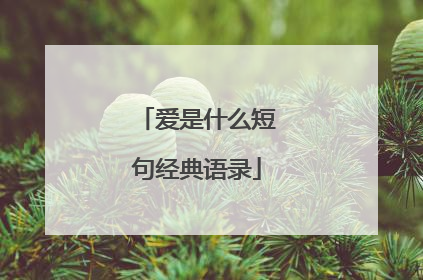 爱是什么短句经典语录