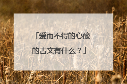 爱而不得的心酸的古文有什么?