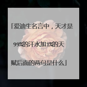 爱迪生名言中，天才是99%的汗水加1%的天赋后面的两句是什么