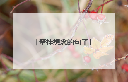 牵挂想念的句子