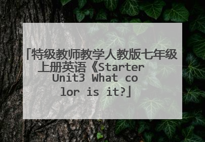 特级教师教学人教版七年级上册英语《Starter Unit3 What color is it?