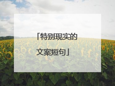 特别现实的文案短句