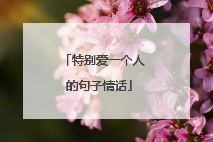 特别爱一个人的句子情话