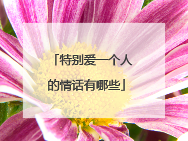 特别爱一个人的情话有哪些