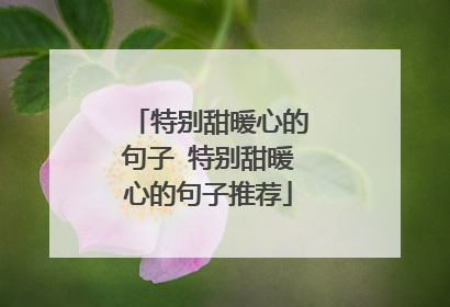 特别甜暖心的句子 特别甜暖心的句子推荐