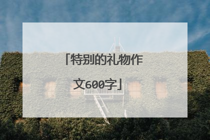 特别的礼物作文600字