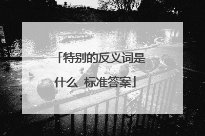 特别的反义词是什么 标准答案