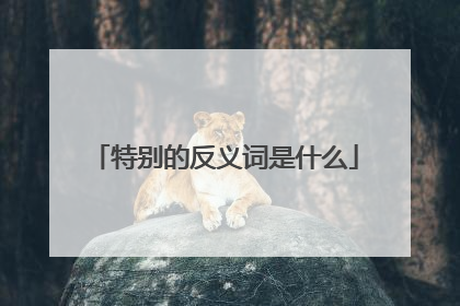 特别的反义词是什么