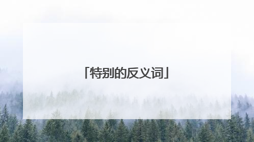 特别的反义词