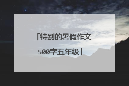 特别的暑假作文500字五年级