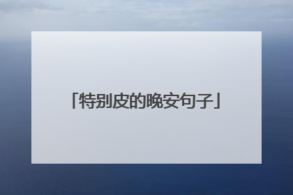 特别皮的晚安句子