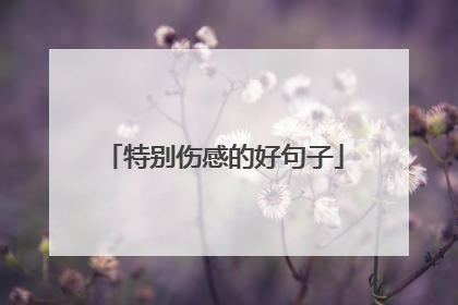 特别伤感的好句子