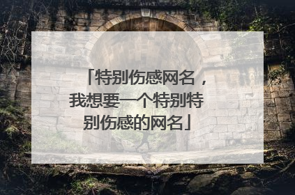 特别伤感网名,我想要一个特别特别伤感的网名