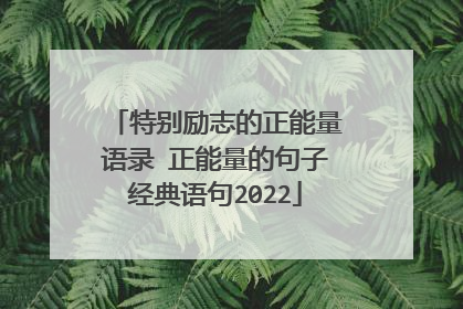 特别励志的正能量语录 正能量的句子经典语句2022