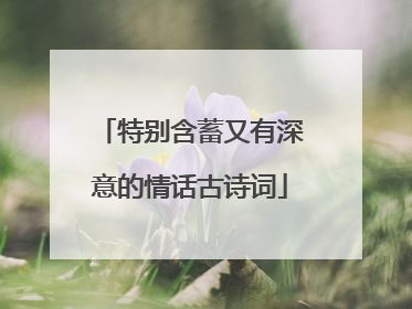 特别含蓄又有深意的情话古诗词