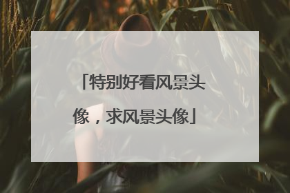 特别好看风景头像,求风景头像
