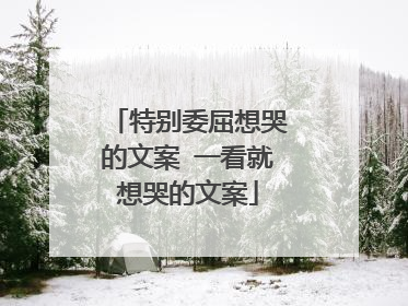 特别委屈想哭的文案 一看就想哭的文案