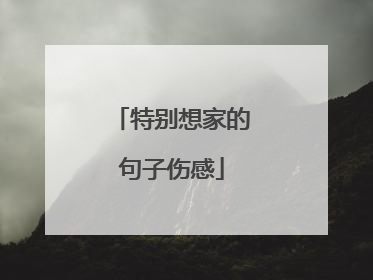 特别想家的句子伤感