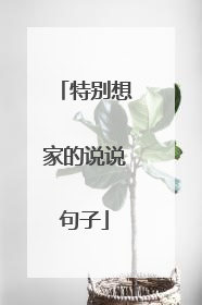 特别想家的说说句子