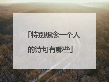 特别想念一个人的诗句有哪些