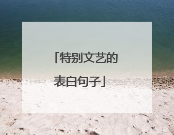 特别文艺的表白句子