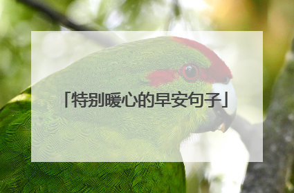 特别暖心的早安句子