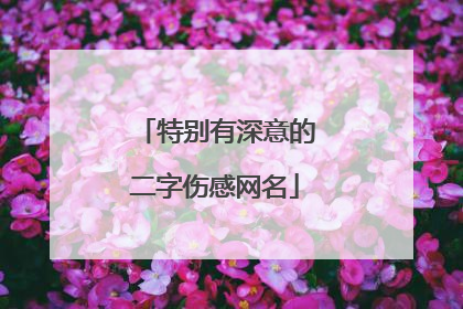 特别有深意的二字伤感网名