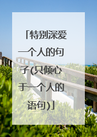 特别深爱一个人的句子(只倾心于一个人的语句)