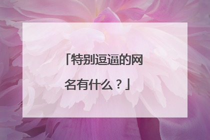 特别逗逼的网名有什么?