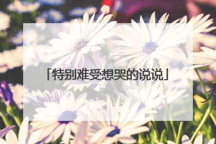 特别难受想哭的说说