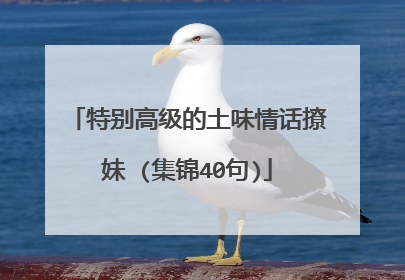 特别高级的土味情话撩妹 (集锦40句)