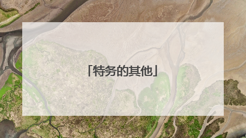 特务的其他