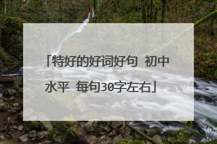 特好的好词好句 初中水平 每句30字左右