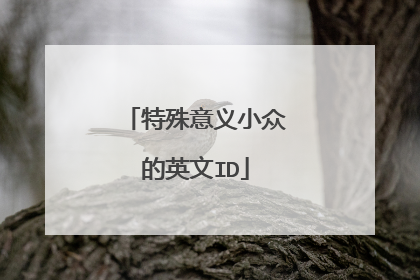 特殊意义小众的英文ID