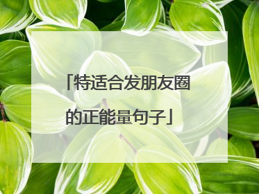 特适合发朋友圈的正能量句子